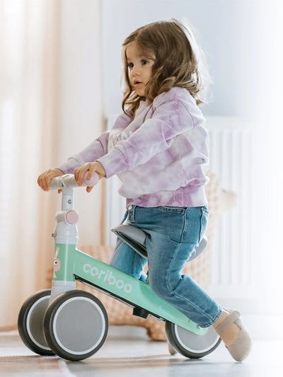 Cariboo Friends ride-on (mint)