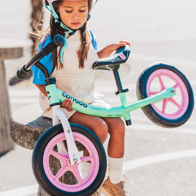 Low step-through frame for easy mounting and dismounting.