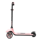 Cariboo Easy Go (pink)