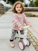 Cariboo Friends ride-on (pink)