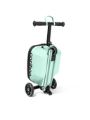 Cariboo iTravel (Mint)
