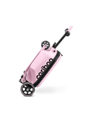 Cariboo iTravel (Pink)