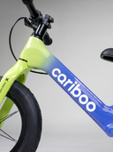 Cariboo Magnesium Max (lemon-blue)