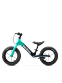 Cariboo Magnesium Max (mint-black)