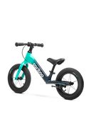 Cariboo Magnesium Max (mint-black)