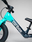 Cariboo Magnesium Max (mint-black)