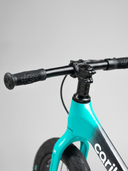 Cariboo Magnesium Max (mint-black)
